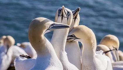 湖人关键时刻13连胜!41岁詹姆斯30+8+8无人能敌|勒布朗·詹姆斯|季后赛|微博|洛杉矶湖人队|勒布朗-詹姆斯_新浪体育_新浪新闻